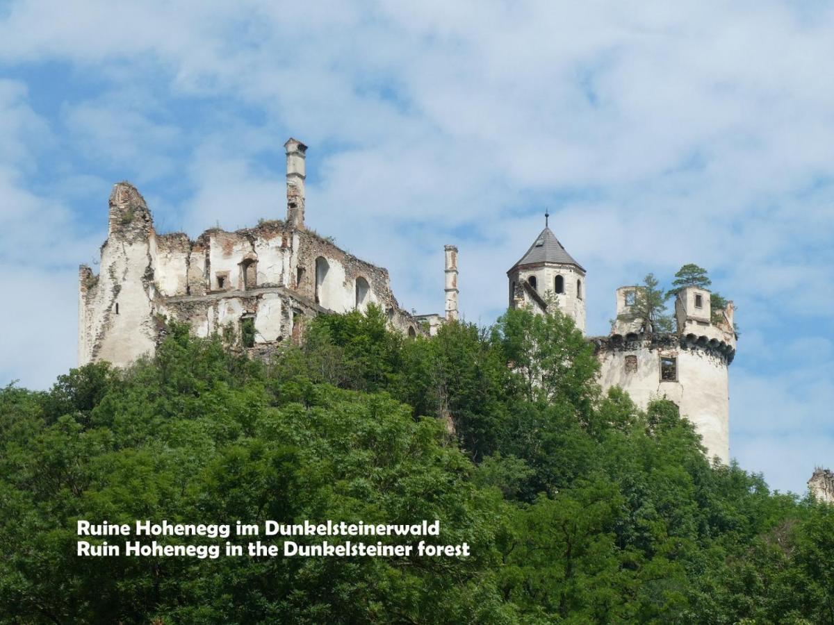 Gaestehaus Am Weinberg - Schlager Prinzersdorf エクステリア 写真